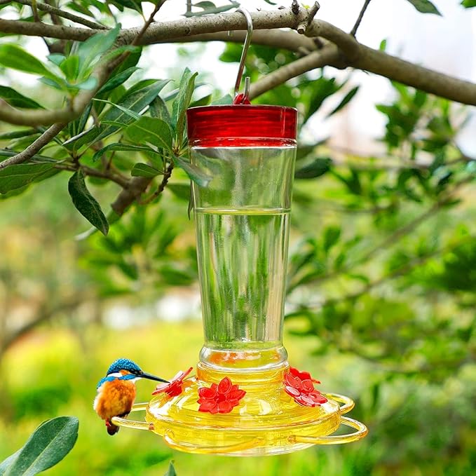 Joliyoou Hummingbird Feeder, 10 Once Glass Hummingbird Feeder Outdoor Hanging, Bird Nectar Feeder