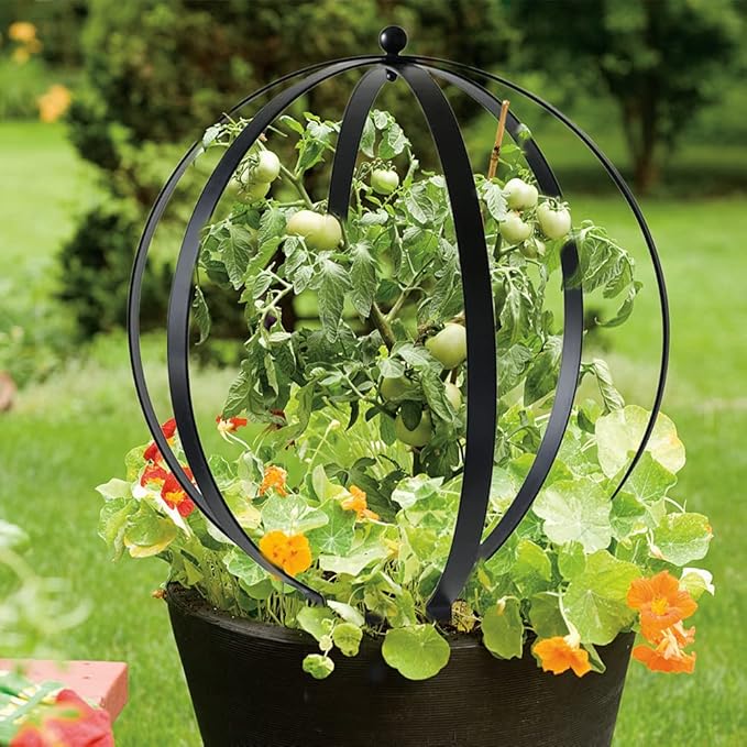 NPV Group Décor Wow Garden Ornament, Small Metal Trellis 19.5" x 16", Black
