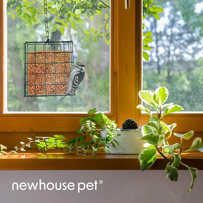 Newhouse Pet Single Cake Suet Basket Bird Feeder NHP-Suet-BLK, Small Hanging Bird Feeder for Outdoors, Suet Cake Holder for Jays, Woodpeckers, Chickadees, Wrens, and Other Birds