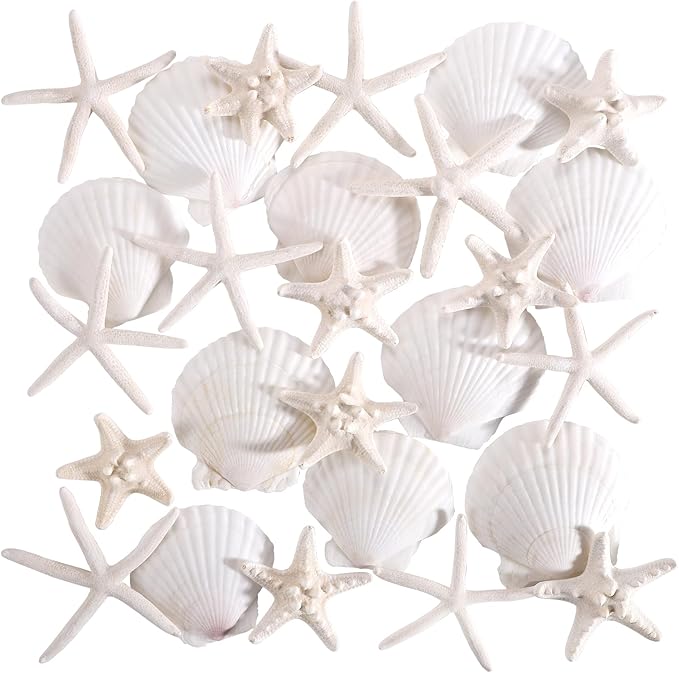 PPCLION 24 PCS Natural Starfish 2-4" and Scallop Shell for Crafts Making Beach Theme Party Wedding Decoration, Home Wall Decor, Christmas Ornaments