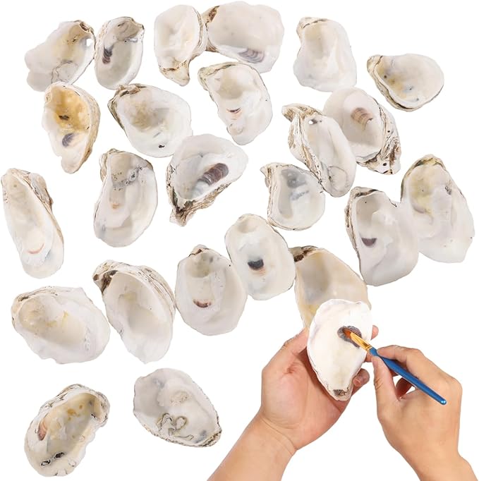 Homaisson 25 PCS Oyster Shells for Crafts, 2.8"-3.6" Oyster Shell for Decor, Natural North Sea Origin, Natural Design, Ideal for Aquarium Landscaping, Crack-Free Surface