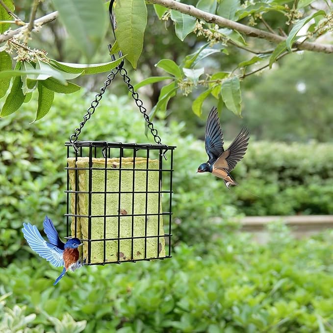 Suet Feeder for Outdoor Garden Yard Patio Hanging Metal Suet Cake Holder Squirrel Proof Weatherproof Bird Parrot Feeders Single Suet Cage for Wild Birds Woodpecker Hummingbird