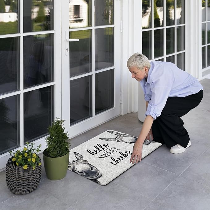 JINYO Hello Sweet Cheeks Door Mat, Funny Donkey Door Mat Indoor Outdoor Entrance Entryway Porch, Sweet Cheeks Bath Mats for Bathroom, Donkey Welcome Mats, 17x30 Inch