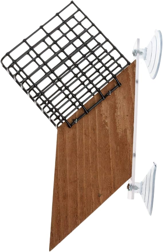 Songbird Essentials SE539 Suet Window Feeder (Set of 1)