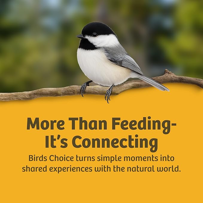 Birds Choice Suet Feeder with Tail Prop, Holds 1 Suet Cake | Hanging Suet Bird Feeder with Roof, Woodpeckers, Jays, Nuthatches | Sturdy for Garden & Backyard | Taupe & Green, 8" L x 3" W x 12" H