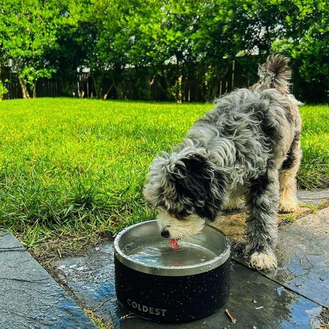 Coldest Dog Bowl - Anti Rust Metal, Non Slip, 3 Layers Insulated Stainless Steel Dog Bowls - Spill Proof & Heavy Duty - Water Bowl for Dogs, Cats & Pets, Dish Washer Safe (200 oz, Carrara Marble)