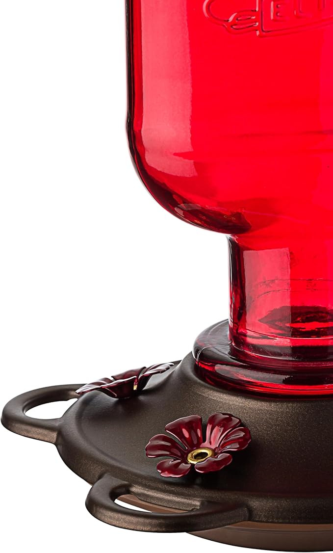 More Birds Elixir Hummingbird Feeder, Vintage Glass Medicine Bottle Hummingbird Feeder for Outdoors, 5 Feeding Stations, 13 Ounces