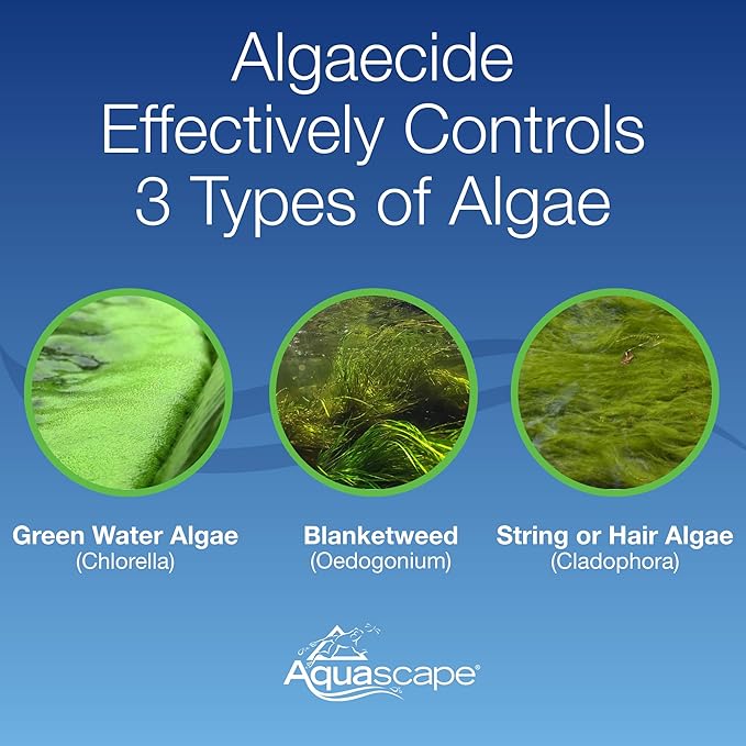 Aquascape 96022 Algaecide for Pond, Waterfall, and Water Features, 8-Ounce