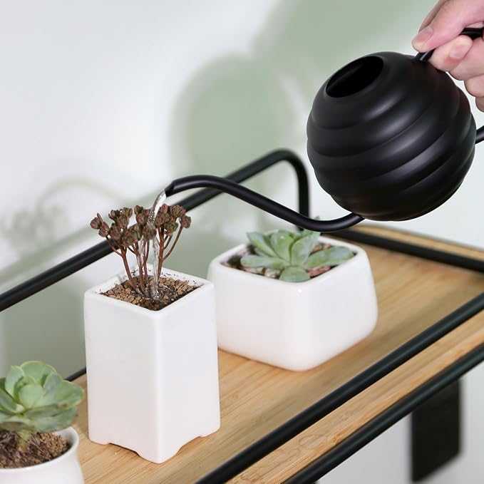 Plant Watering Bottle, 400ml/14oz, Retro Style Watering Can, Matte, Frosted (Black)