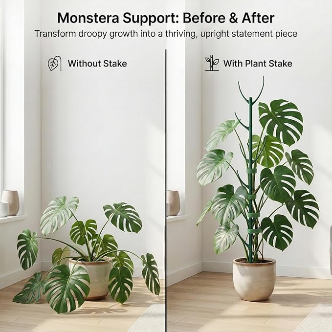 Monstera Plant Support Stakes Indoor - 20-Pack Stackable Tall Plant Sticks for Climbing Plants Stem Support - Durable Trellis Garden Poles for Outdoor Gardening