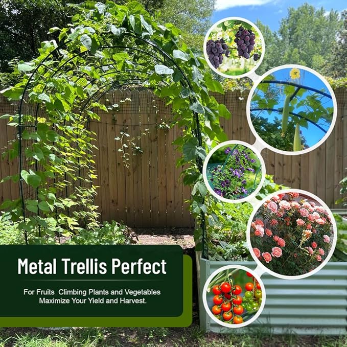 Zhisheng Garden Arbors,7.9Ft Metal Garden Arbors Green Wedding Arch for Climbing Plant Outdoor Wedding Christmas Party Decoration,240CM