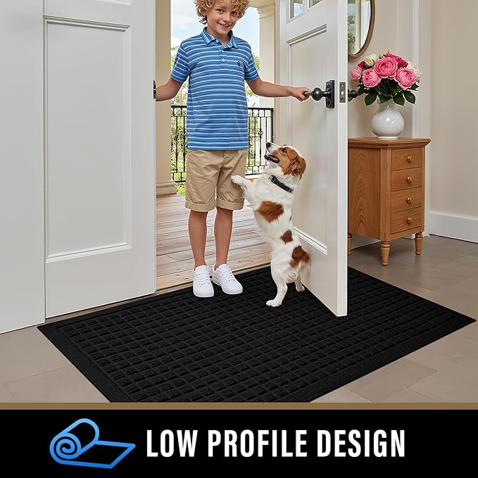 PLEASOR Front Door Mat Indoor Outdoor Entrance, Dirt Resistant and Absorbent Doormat, Sturdy Non-Slip Backing Entry Mat, Fade Resistant, Easy Clean Low-Profile Entryway Mat, 36x24, Black