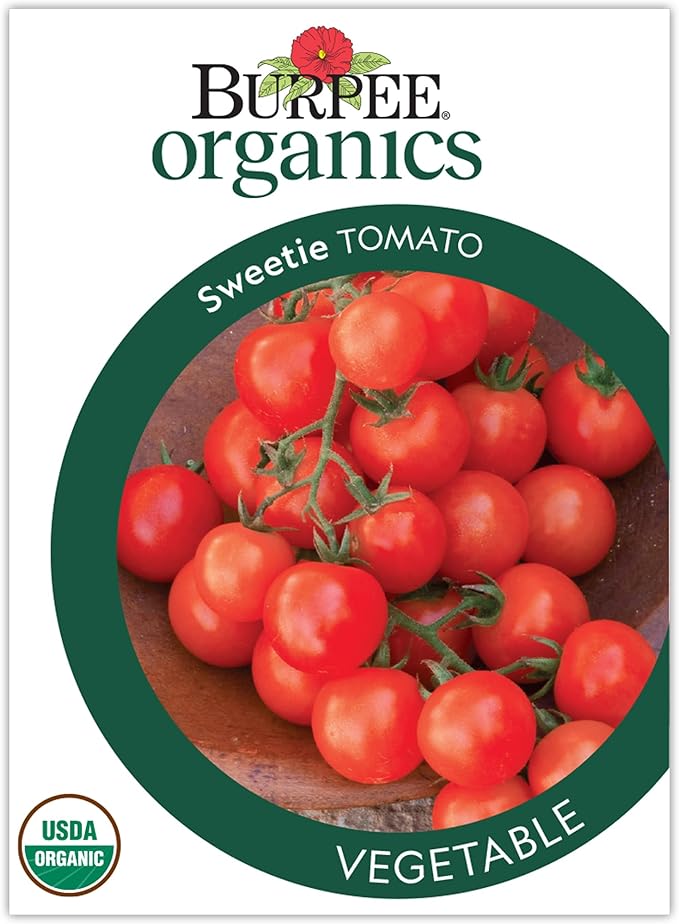 Burpee 'Sweetie' Organic Heirloom Tomato Seeds - Non-GMO, Indeterminate, Organic, Heirloom, Cherry Tomato, 15mg Seed Packet for Home Gardening