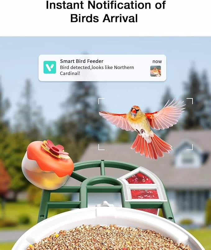 Bird Feeder with Camera Solar Powered-2K Live Feed, Smart AI Identify Birds, 2L Food Capacity, Auto Captured Bird Video, Real-time Arrived Alerts, Mini Hummingbird Feeder for Outdoor Backyard