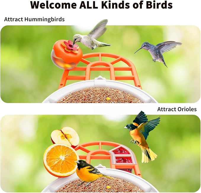 Bird Feeder with Camera with AI Identify Birds Species Solar Powered, Smart Bird House with Cam, 2K HD Video Live Stream, Instant Arrival Alerts - Orange
