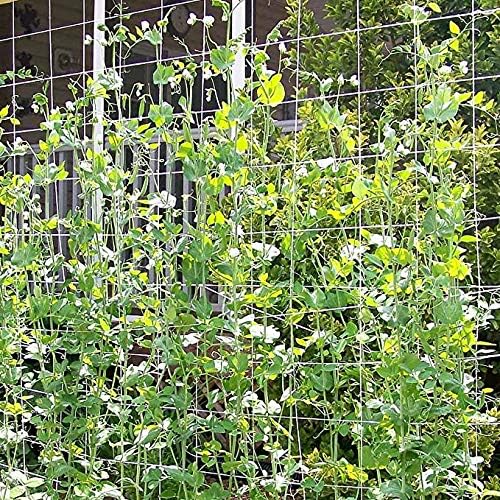 Toolazy Soft Mesh Nylon Trellis Netting Bulk Roll - 5 x 350 ft Heavy-Duty Garden Netting for Climbing Plants,Garden Melons Vegetables, Grape Racks, Hydroponic