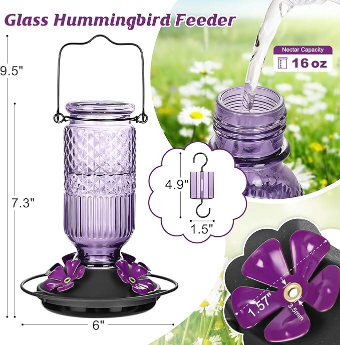 FEED GARDEN Glass Hummingbird Feeder for Outdoors Hanging, 16 OZ Humming Bird Feeders with 4 Bee Guard Feeding Ports&Built-in Ant Moat, Hummingbird Gifts for Mom Bird Feeder for Outside, Purple,1 Pack