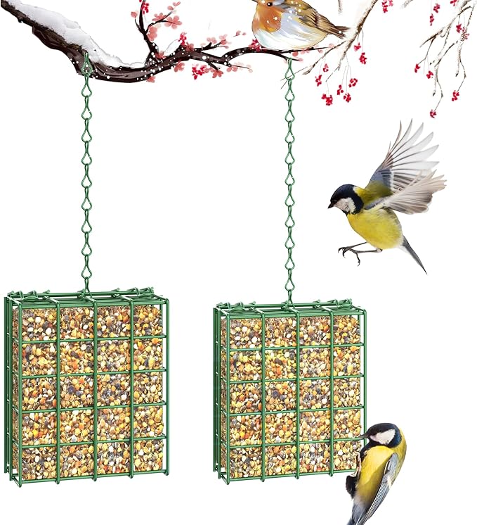 Bird Feeder for Outdoors, 2 Pack Suet Feeder Hanging Bird Feeder, Hanging for Garden Yard Outside - Suet Cake Feeders fo Attracting Birds