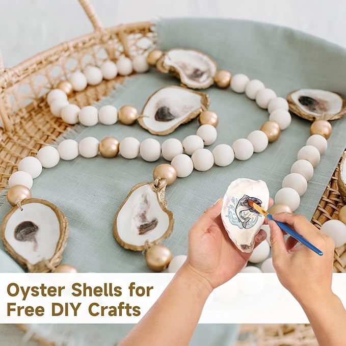 Homaisson 25 PCS Oyster Shells for Crafts, 2.8"-3.6" Oyster Shell for Decor, Natural North Sea Origin, Natural Design, Ideal for Aquarium Landscaping, Crack-Free Surface