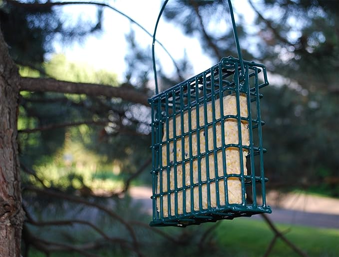 Wildlife Sciences Suet Feeder Cage Suet Cake Combo for Wild Birds | Includes 1 Suet Feeder and 11 Ounce Nuts and Berry Cake