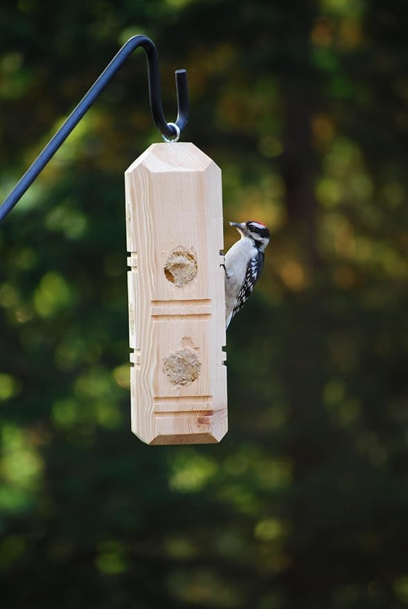 Wildlife Sciences Suet Plug Feeder, Bevel Cut Pine Post