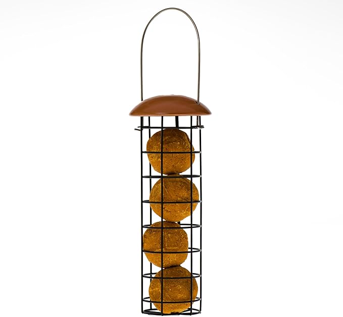 C&S Wild Bird Food Suet Dough Balls Feeder