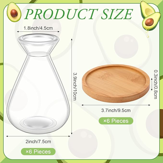 6Pcs Small Avocado Seed Starter Vase with Bamboo Base Avocado Tree Growing Vase Kit Avocado Seed Sprout Starter Vase Planter Pot Easy Seed Gift Plant Glass for Acorn Garlic Vines Root Seeds