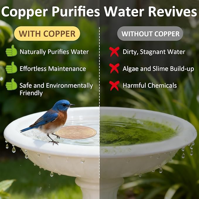 Bird Bath Copper Discs - 99.9% Pure Copper Cleaner, 1 mm Thick with Triple-Point Support, Reinforced Design for Safe Clean Water, Universal Fit for Outdoor Birdbaths and Bowls, All-Season Use