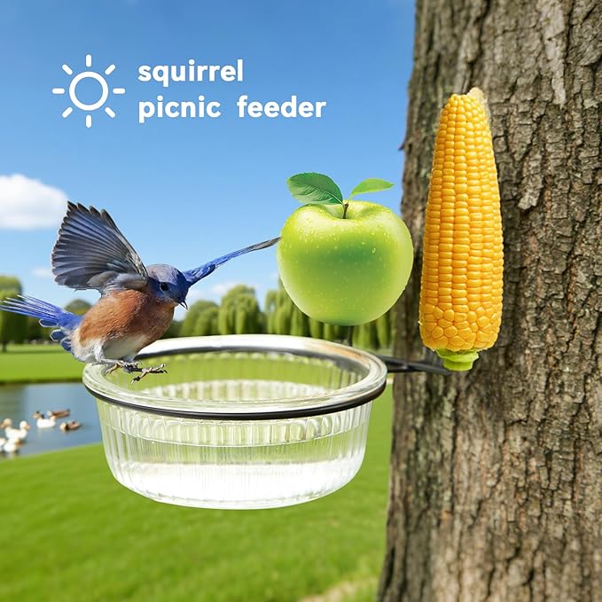 Glass Squirrel and Bird Feeder for Outdoors - No Assembly, Removable Bowl for Wet Food, Water or Bird Bath, Panoramic View, Easy Tree or Fence Mount, Easy to Clean