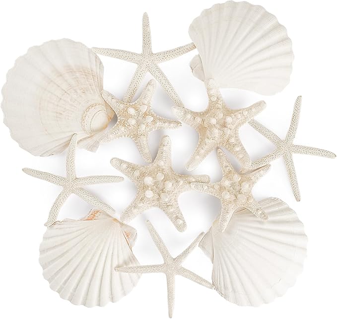 PPCLION 12 PCS Natural Starfish 4-5" and Scallop Shell for Crafts Making Beach Theme Party Wedding Decoration, Home Wall Decor, Christmas Ornaments