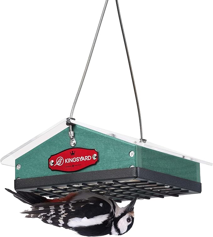 Kingsyard Upgraded Upside Down Suet Feeder for Outside Hanging - Recycled Plastic Wild Bird Feeder with Rainproof Roof for Attracting Woodpeckers Nuthatches Chickadees Finches. Green