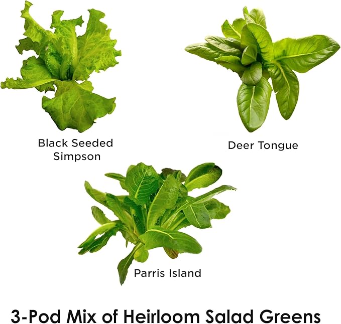 AeroGarden Heirloom Salad Greens Mix Seed pod Kit - Salad Kit for AeroGarden Indoor Garden, 3-Pod