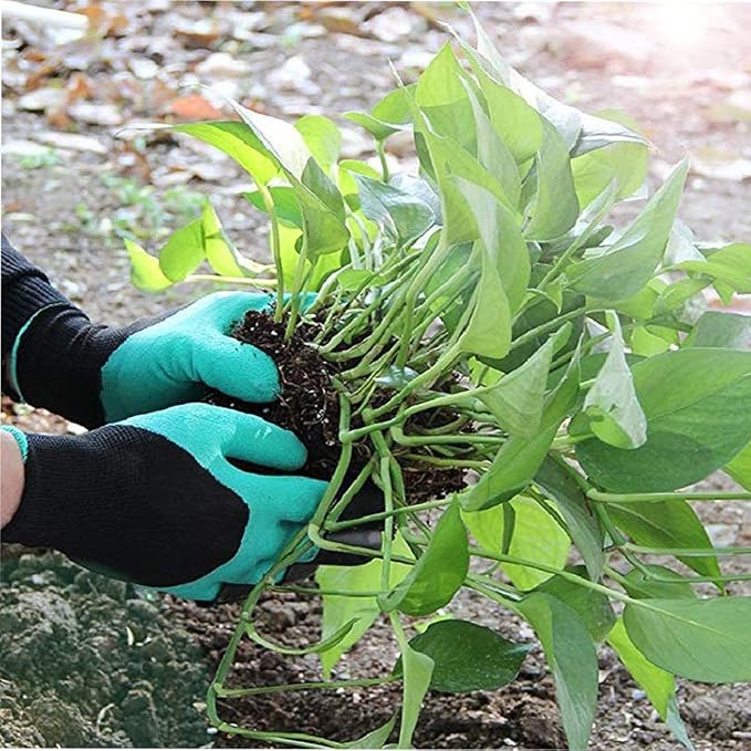 Claw Gardening Gloves for Planting, Garden Glove Claws for Women