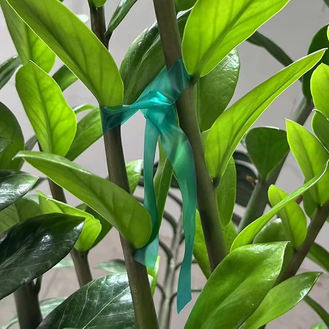 Stretch Tie Tape, 1/2" Garden Tie Tape Roll, 2 Rolls 300 Feet Thick Plant Ribbon Green Vinyl Stake for Indoor Outdoor Patio Plants Branches Flowers