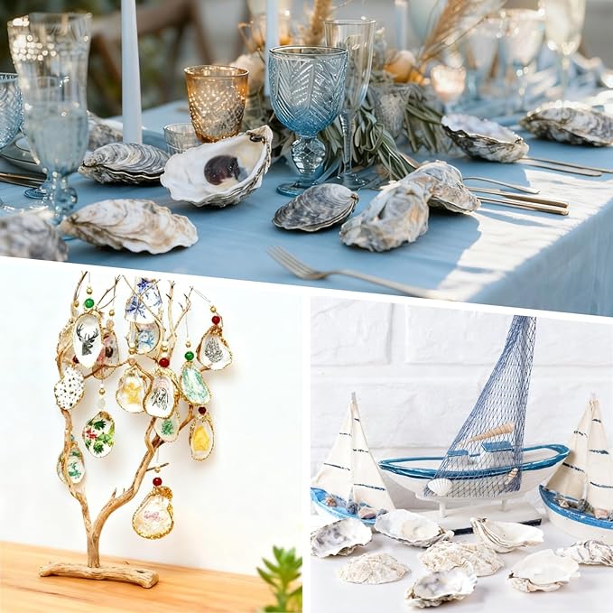 Homaisson 30 PCS Oyster Shells for Crafts, 4-5 in Large Oyster Shells for Decor, Natural North Sea Origin, Natural Oyster Shell for Aquarium Landscaping DIY Ornaments, Crack-Free Surface