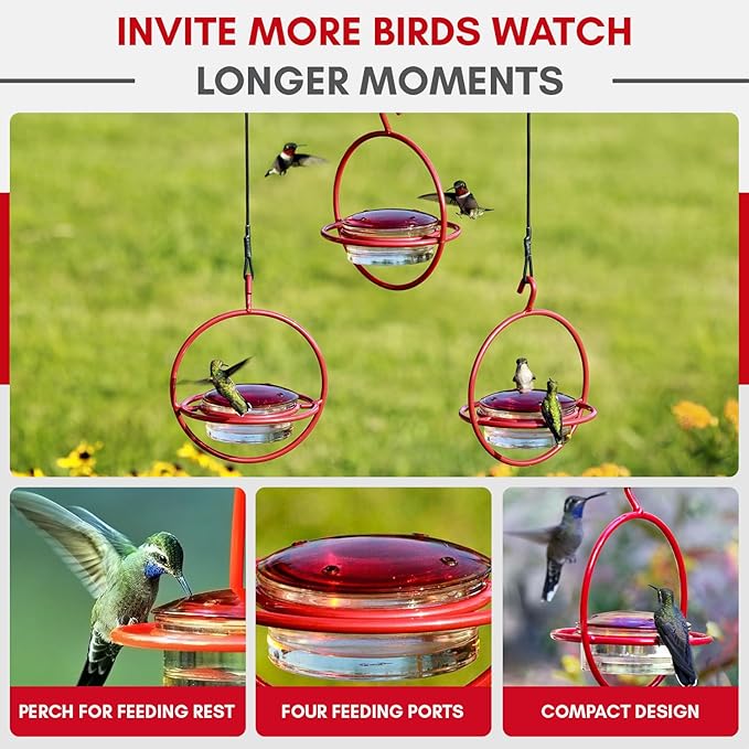 Hummingbird Feeder for Outdoors Hanging, 3.4 OZ Hummingbird Feeders, Glass Bowl with 4 Feeding Ports, Leak Proof Lid & Circular Perch, Bird Feeder (3, Red)