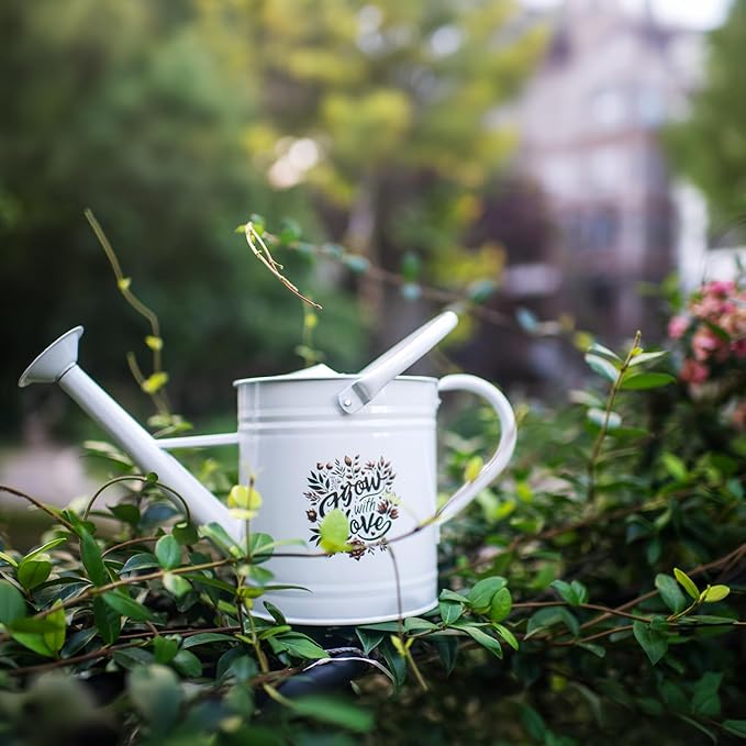 1 Gal Galvanized Steel Watering Can Decorative Farmhouse Style Watering Can, Removable Rosette-Diffuser, Perfect for Indoor and Outdoor Use (1 Gallon White with Floral Design, 1 Gallon)