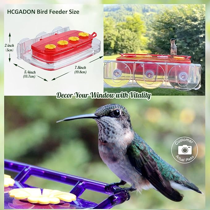 2 Pack Window Hummingbird Feeder with Strong Suction Cup, Plastic Hummingbird Feeders for Outdoors, Built-in Moat,Easy to Clean and Refil (10oz) (2, Purple)
