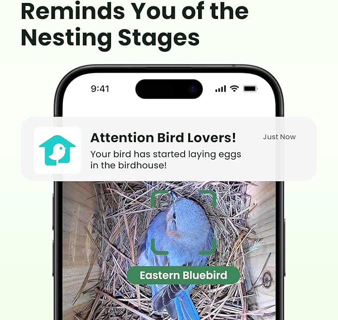 Birdfy Smart Bird House with Camera Solar Powered, 1080HD Live Video & Night Vision for 24/7 Nesting Recording, Auto Detect & Notify, Ideal Nature Gift for Bird Lovers, AI Identify Lifetime Free