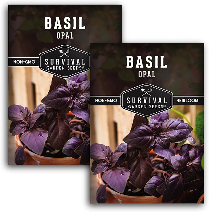 Opal Basil Seeds for Planting - Dark Opal Basil with Purple Leaves - Unique Herb Seed Variety - Heirloom, Non-GMO Herbs for Home Gardens - Survival Garden Seeds (2 Pack)
