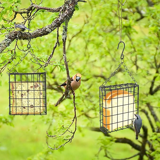 2PCS Outdoor Suet Cage Bird Feeder, Wild Bird Feeder with Single Suet Cake Capacity for Hanging Outside