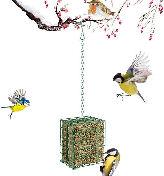 Bird Feeder for Outdoors, Large Capacity Suet Feeder Hanging Birdfeeder, 2 Slices Suet Cake Feeders fo Attracting Birds - Bird Feeder Hanging for Garden Yard Outside