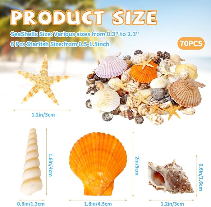 Mixed Sea Shells, 80+ Pcs Beach Seashells Starfish, Various Sizes Ocean Seashells for Fish Tank Vase Fillers, Beach Theme Party Wedding Decor, Candle Making, DIY Crafts