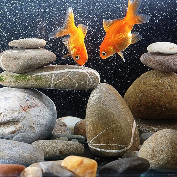 40lbs Natural River Rocks, 1-2" Premium Pebbles for Garden and Landscape Design, Hand-Picked Smooth Stones for Fish Tank, Flower Pots, Indoor Water Fountains, Pathways, Backyard