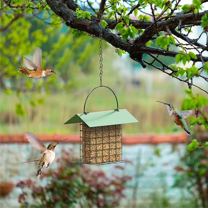 Bird Feeder for Outdoors, Suet Feeder Hanging, Attracts Nuthatches, Woodpeckers, Creepers, Weatherproof Bird Feeders for Wild Birds Woodpecker, Single Suet Cage for Outdoor
