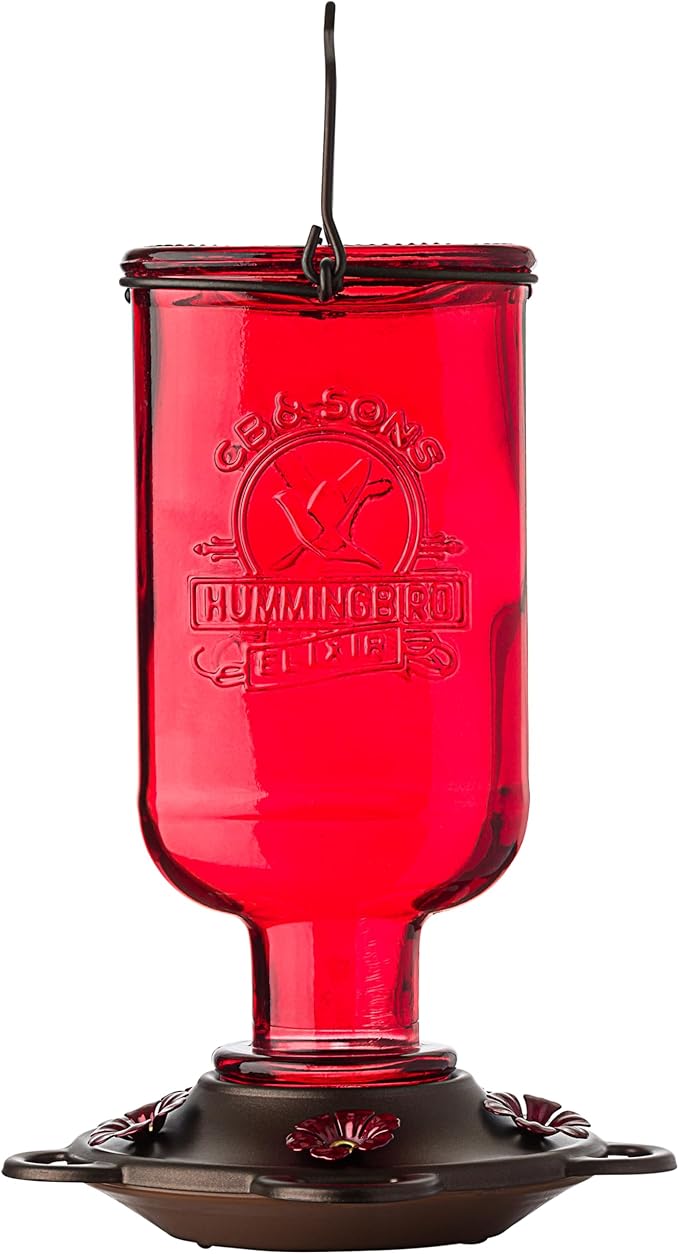 More Birds Elixir Hummingbird Feeder, Vintage Glass Medicine Bottle Hummingbird Feeder for Outdoors, 5 Feeding Stations, 13 Ounces