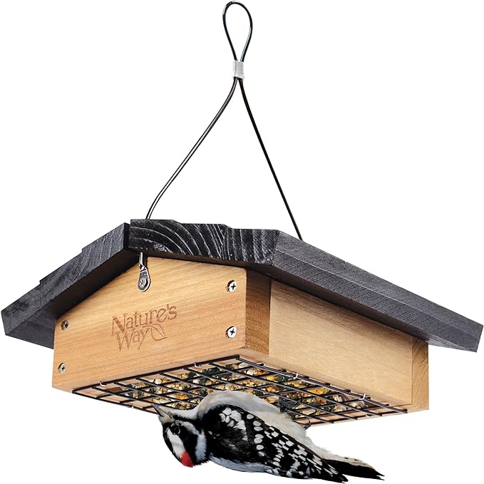 Nature's Way Bird Products CWF2 Cedar Suet Upside-Down Bird Feeder, Black