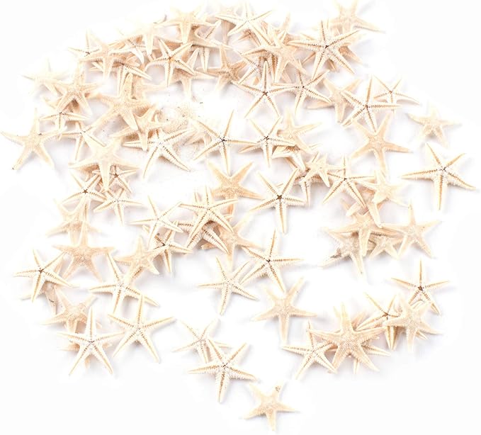 Super Z Outlet Tiny Miniature Fairy Garden Beach Critter Starfish Marine Life Collection for Arts & Crafts Projects, Decorations, Party Favors, Invitations - 90 Pieces
