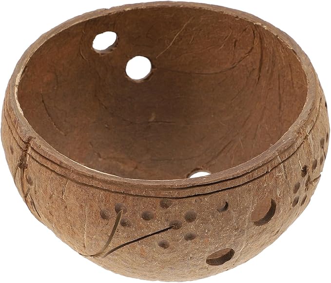 Ciieeo Hanging Succulent Plant Pot Coconut Shell Planter for Indoor Outdoor Garden Decor Decorative Hanging Flower Pot Holder