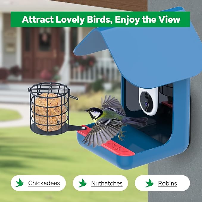 Metal Suet Ball Holder Designed for Bird Buddy Smart Bird Feeder with Camera - Durable Weatherproof Suet Feeder, Easy to Install, Powder-Coated